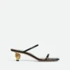 Knot Mule Knot Mule